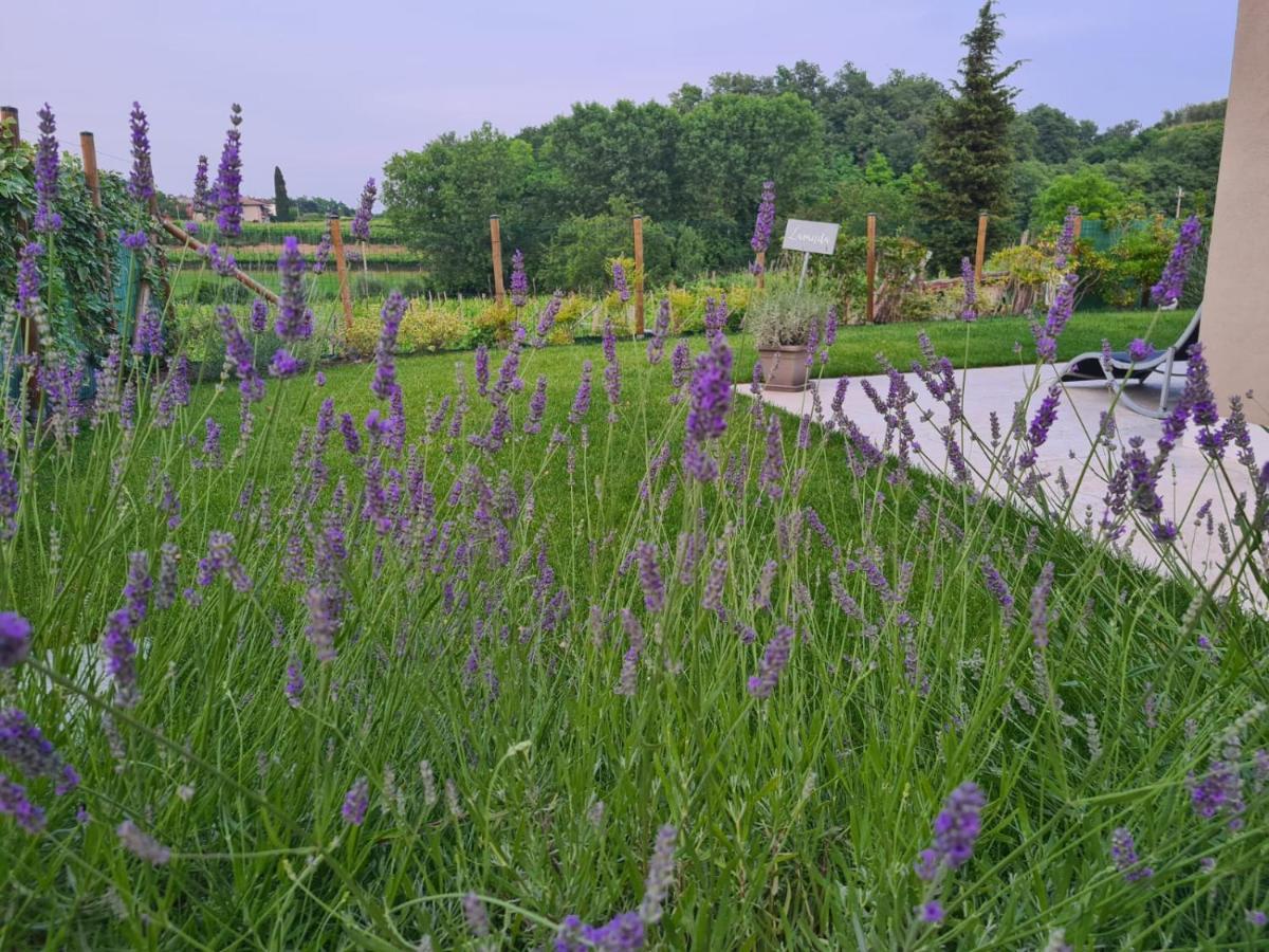 Residence Le Aromatiche Cavaion Veronese Exterior photo